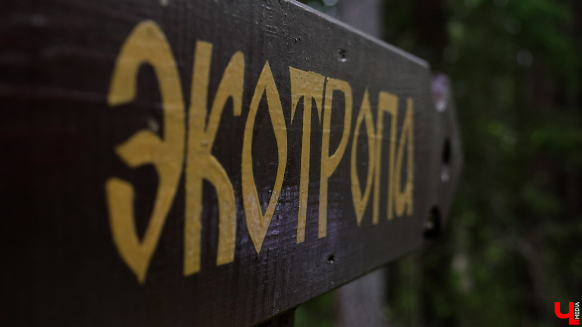 К юбилею популярного туристического маршрута «Золотое кольцо России» путешественников пригласят на экскурсии по лесам и болотам национального парка «Мещёра». В 2027 году уголок уникальной природы Гусь-Хрустального района станет частью легендарного направления. Удивлять отдыхающих планируют экологическими тропами, зубрами и даже стоянкой древнего человека.