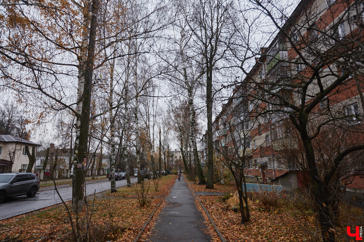 Хочется остановить мгновение и сохранить теплый день октября надолго. Увы, сделать это можно только в памяти. Так что активно ловим моменты золотой осени, поскольку ее «гастроли» во Владимирской области уже заканчиваются. По прогнозам синоптиков, температура воздуха еще недолго будет бить рекорды.