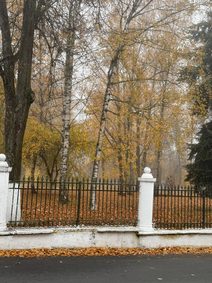 Чтобы стать героем фильма, необязательно использовать огромные павильоны как при съемках голливудского кино. Осенний Владимир — идеальное место, чтобы сделать эстетичные кадры и почувствовать себя центральной фигурой романтичной картины. «Ключ-Медиа» собрал от местных фотографов и блогеров несколько идей аутентичных локаций, где можно запечатлеть собственную историю.